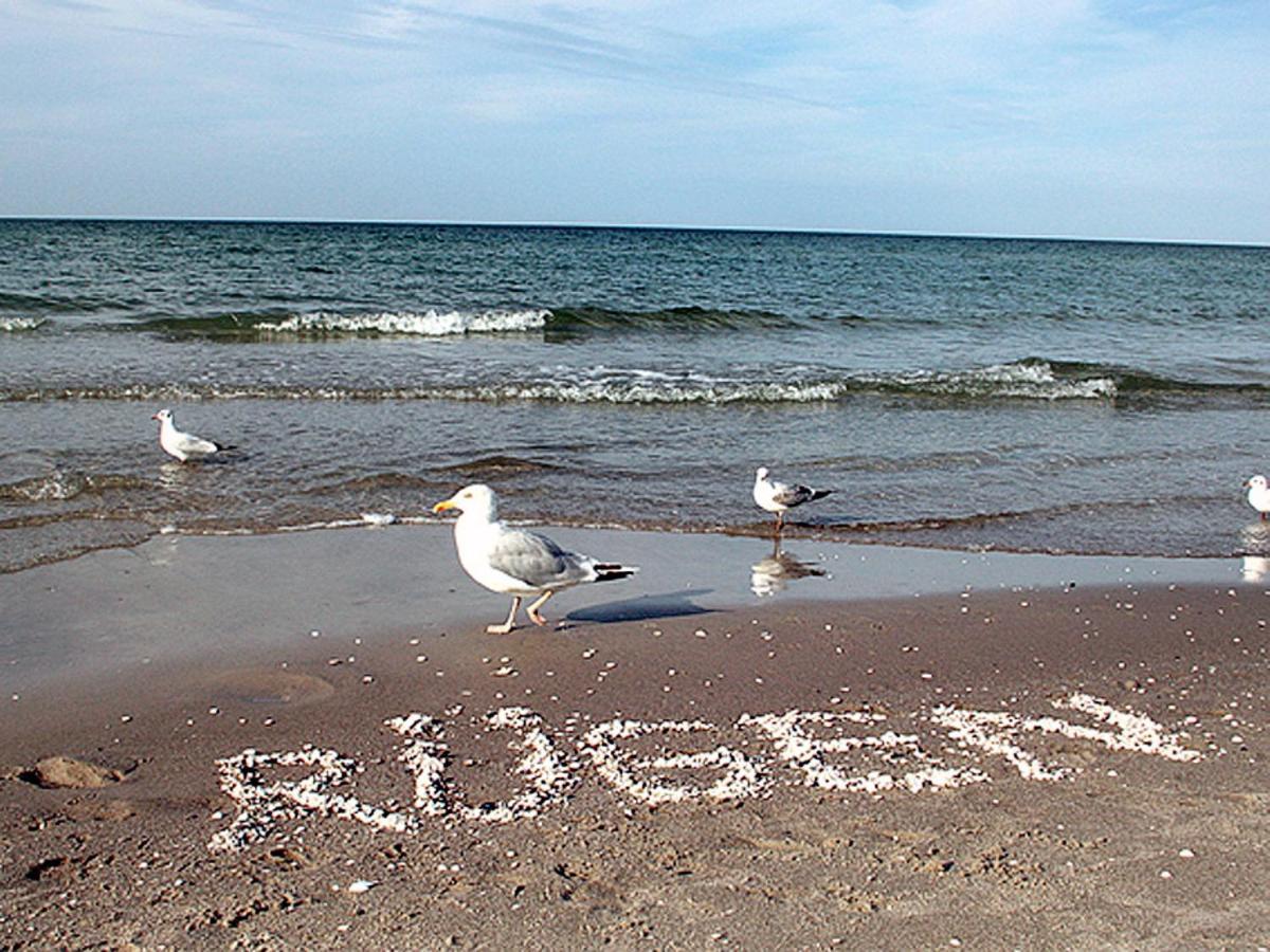 Fabiola In Strandnaehe